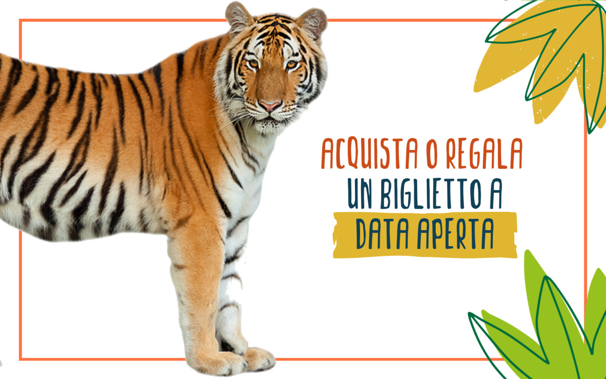 /uploads/biglietto aperto.png